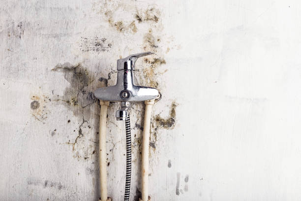 Best Mold Testing and Inspection Services in Pauls Valley, OK